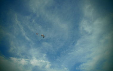 pouštění draků - PA170176 380x240