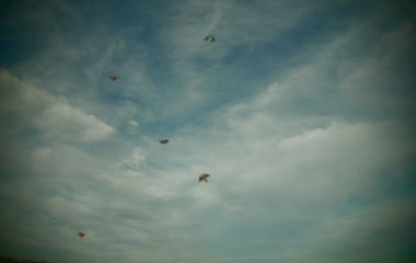 pouštění draků - PA170199 380x240