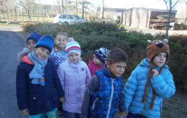 vycházka do přírody s myslivcem - PB060296 380x240