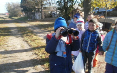 vycházka do přírody s myslivcem - PB060298 380x240