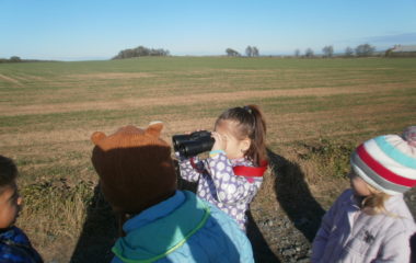 vycházka do přírody s myslivcem - PB060303 380x240