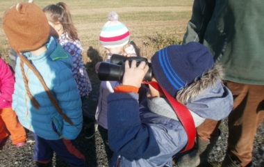 vycházka do přírody s myslivcem - PB060306 380x240