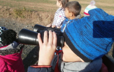 vycházka do přírody s myslivcem - PB060309 380x240