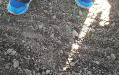 vycházka do přírody s myslivcem - PB060312 380x240