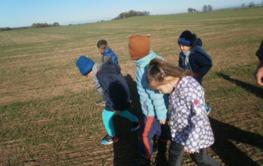 vycházka do přírody s myslivcem - PB060315 380x240