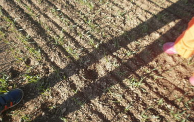 vycházka do přírody s myslivcem - PB060318 380x240