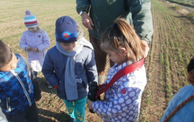 vycházka do přírody s myslivcem - PB060322 380x240