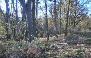 vycházka do přírody s myslivcem - PB060332 380x240