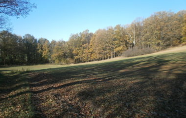 vycházka do přírody s myslivcem - PB060333 380x240