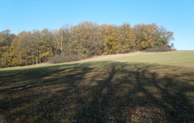 vycházka do přírody s myslivcem - PB060334 380x240