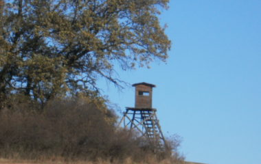 vycházka do přírody s myslivcem - PB060335 380x240