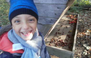 vycházka do přírody s myslivcem - PB060344 380x240