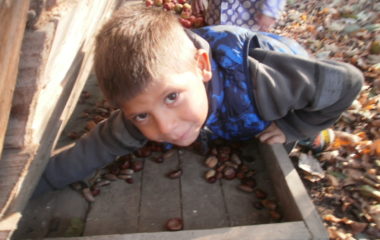 vycházka do přírody s myslivcem - PB060346 380x240