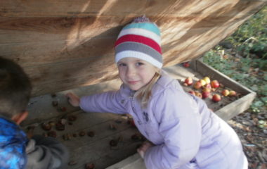 vycházka do přírody s myslivcem - PB060348 380x240