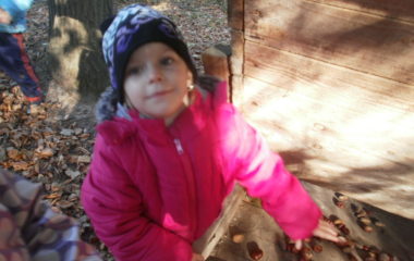 vycházka do přírody s myslivcem - PB060349 380x240