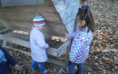 vycházka do přírody s myslivcem - PB060350 380x240