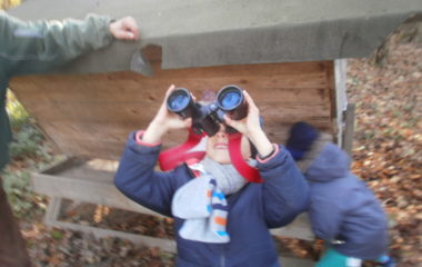 vycházka do přírody s myslivcem - PB060351 380x240