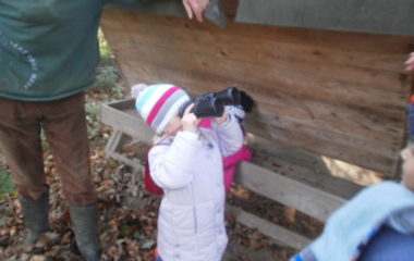 vycházka do přírody s myslivcem - PB060352 380x240