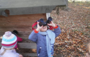 vycházka do přírody s myslivcem - PB060353 380x240