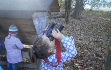 vycházka do přírody s myslivcem - PB060354 380x240