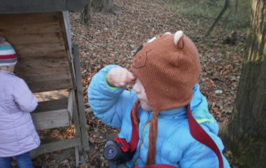 vycházka do přírody s myslivcem - PB060355 380x240