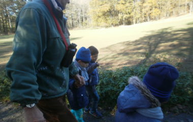 vycházka do přírody s myslivcem - PB060361 380x240