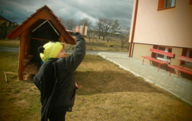 masopustní veselí - P2260530 380x240