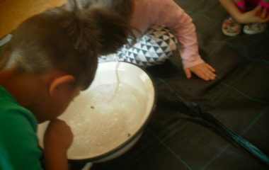 jak jsme oslavili dětský den - P1010591 380x240