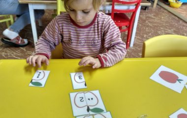 na zahrádce, na poli - IMG 20201008 081636 HDR 380x240