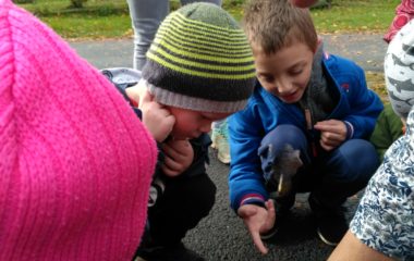 podzimní čas - IMG 20201102 112627 HDR 380x240