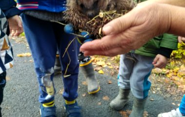 podzimní čas - IMG 20201102 112639 HDR 380x240