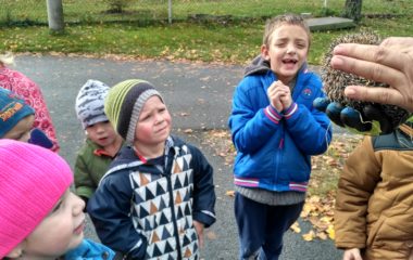 podzimní čas - IMG 20201102 112649 HDR 380x240