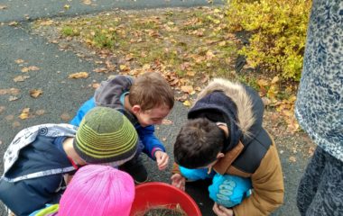 podzimní čas - IMG 20201102 112658 HDR 380x240