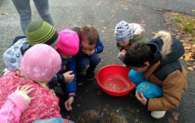 podzimní čas - IMG 20201102 112726 HDR 380x240