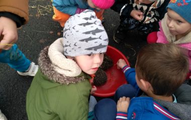 podzimní čas - IMG 20201102 112912 HDR 380x240