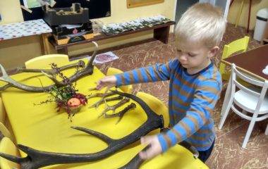 podzimní čas - IMG 20201103 083054 HDR 380x240