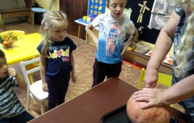 podzimní čas - IMG 20201104 103306 HDR 380x240