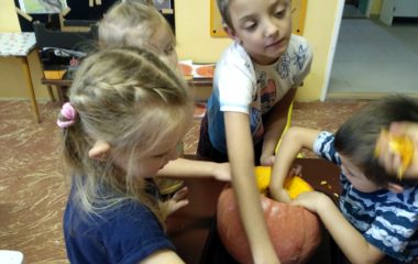 podzimní čas - IMG 20201104 103545 HDR 380x240