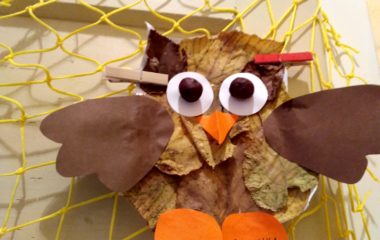 podzimní čas - IMG 20201105 071537 HDR 380x240