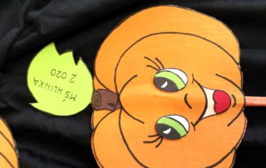 podzimní čas - IMG 20201106 091553 HDR 380x240