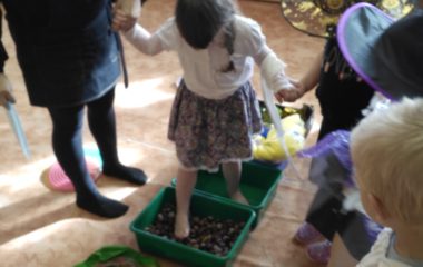 podzimní čas - IMG 20201106 103449 380x240