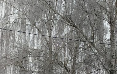 náš adventní čas - IMG 20201210 111217 380x240