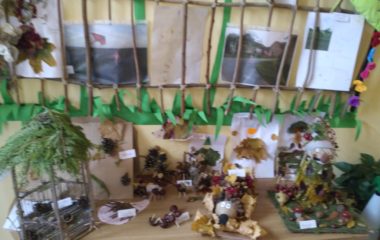 Podzimní úkolníček - IMG 20201123 100122 380x240