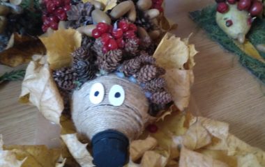 Podzimní úkolníček - IMG 20201123 100134 380x240