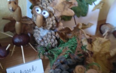 Podzimní úkolníček - IMG 20201123 100144 380x240