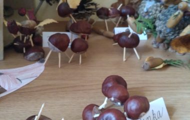 Podzimní úkolníček - IMG 20201123 100153 380x240