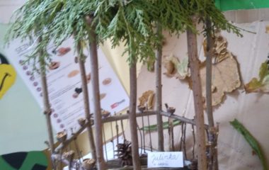 Podzimní úkolníček - IMG 20201123 100157 380x240