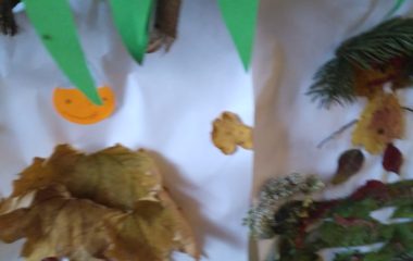 Podzimní úkolníček - IMG 20201123 100209 380x240