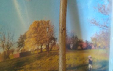 Podzimní úkolníček - IMG 20201123 100225 380x240