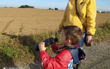 vycházka k lesu - IMG 20211029 WA0004 380x240